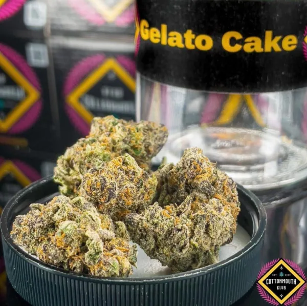 gelato cake strain