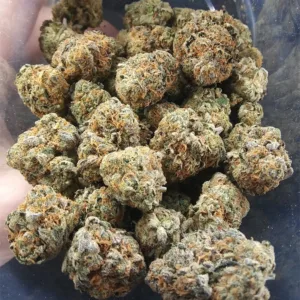 Girl Scout Cookies