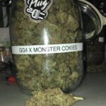 Monster Cookies