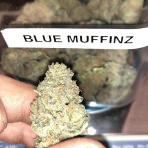 Blueberry Muffin