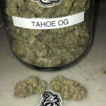 tahoe og kush strain